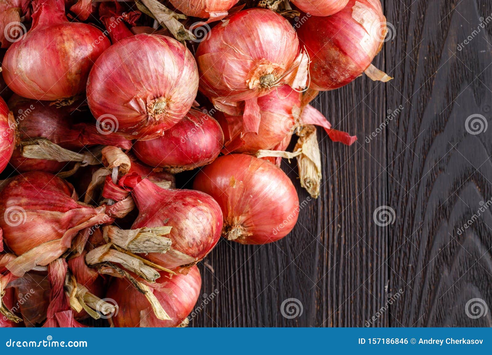 Shot of Purple Onions. Fresh Whole Purple Onions Stock Photo Image of culinary, group 157186846