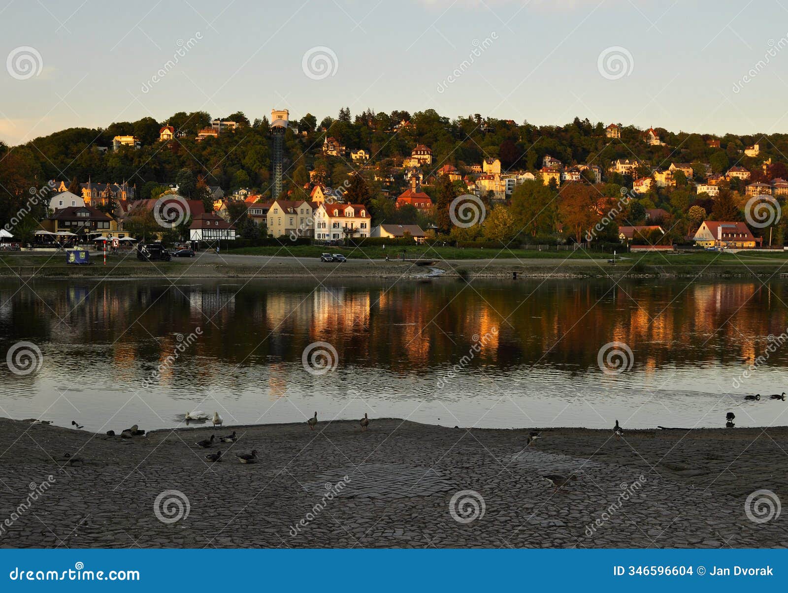 blasewitz-loschwitz river labe bank, dresden