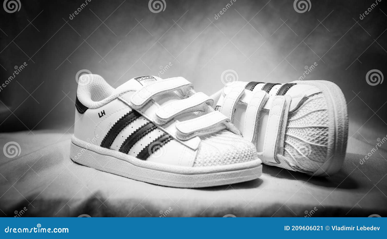 Adidas Superstar Flower Men's Sneakers Shoes at Rs 2999/pair | Old Delhi |  Delhi | ID: 2851519866230