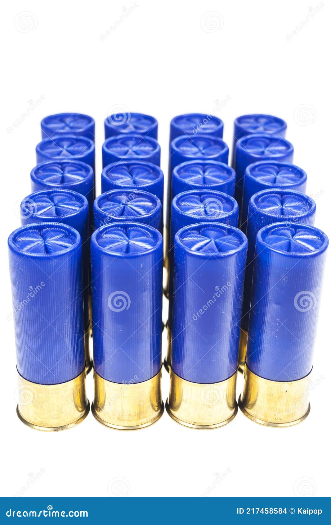 Shotgun shells stock photo. Image of skeet, sleeves 217458584