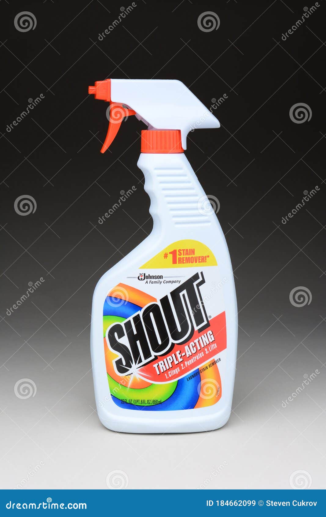 Shout Triple-Acting Stain Remover Spray, 22 Ounce 