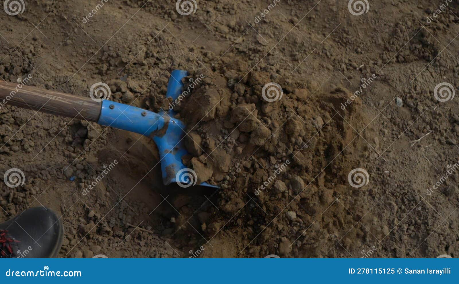 Shovel Digging Hole in the Ground. Close Up Stock Image Image of