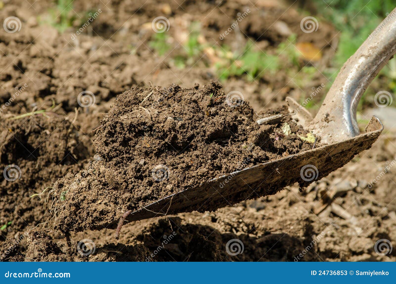 Shovel with dirt stock image. Image of soil, digging 24736853
