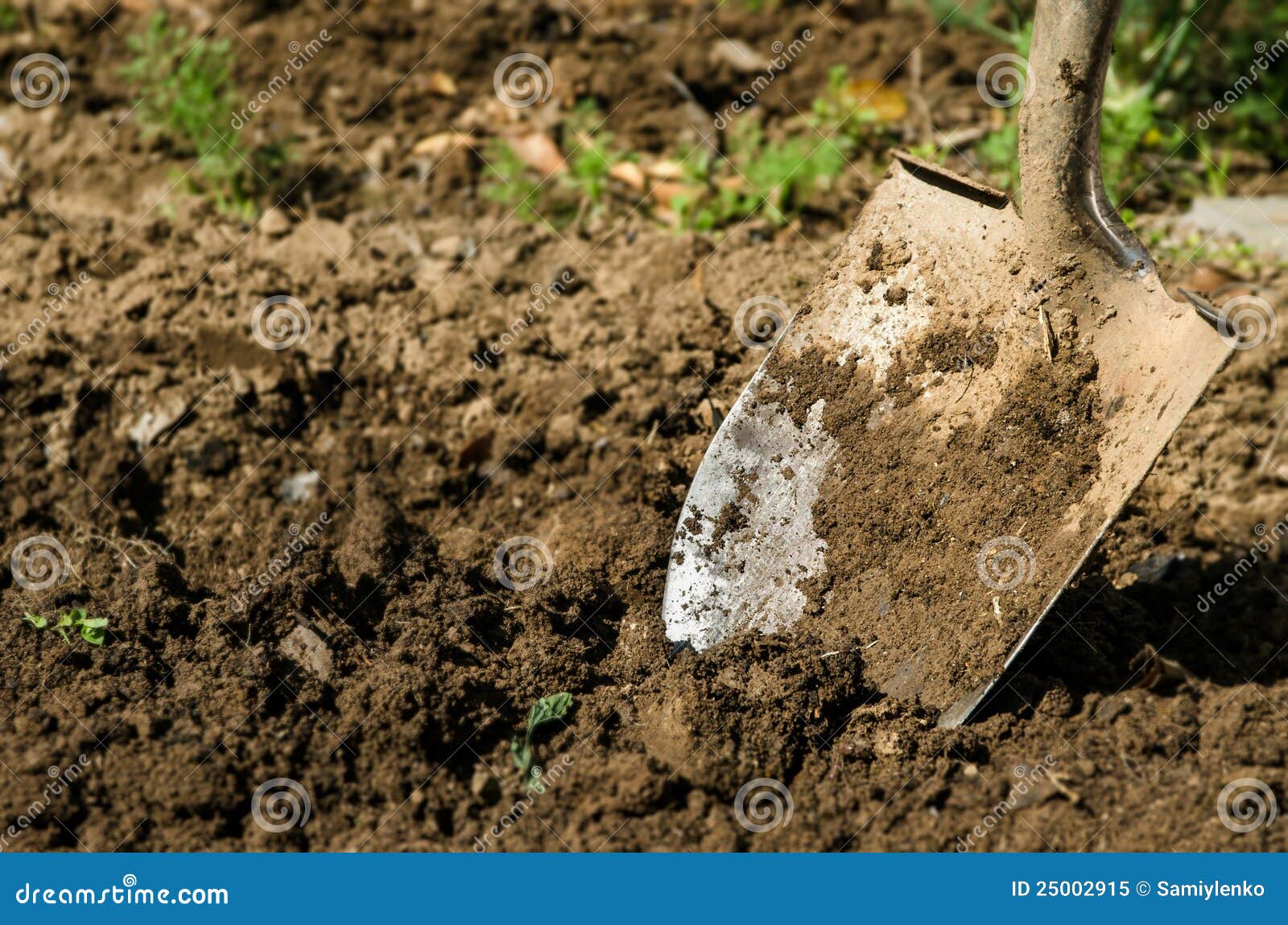 Shovel in the ground stock image. Image of outdoors, soil 25002915