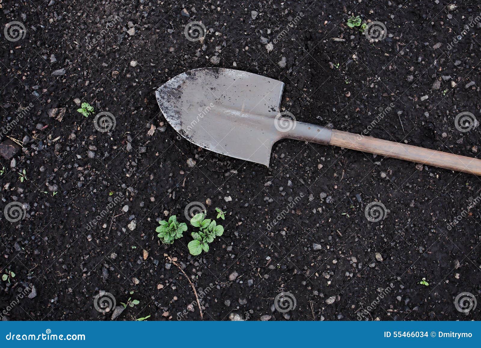 Shovel on the ground stock photo. Image of equipment 55466034