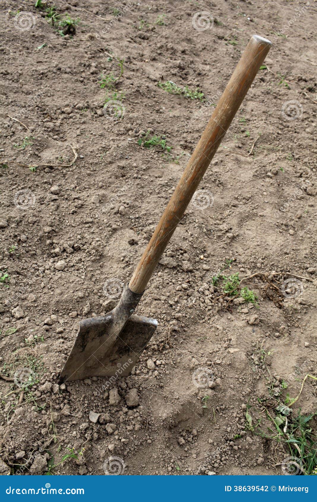 Shovel stock photo. Image of nature, ground, stuck, digging 38639542