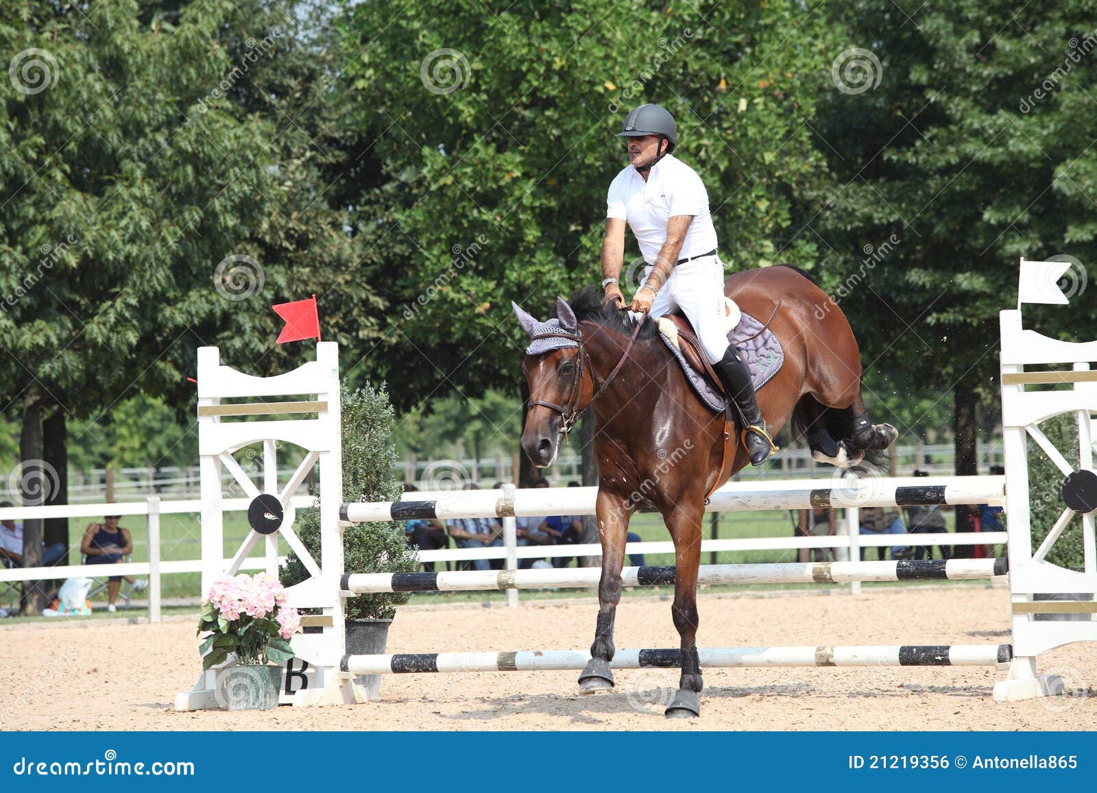 Show jumping editorial photo. Image of ride, animal, show - 21219356