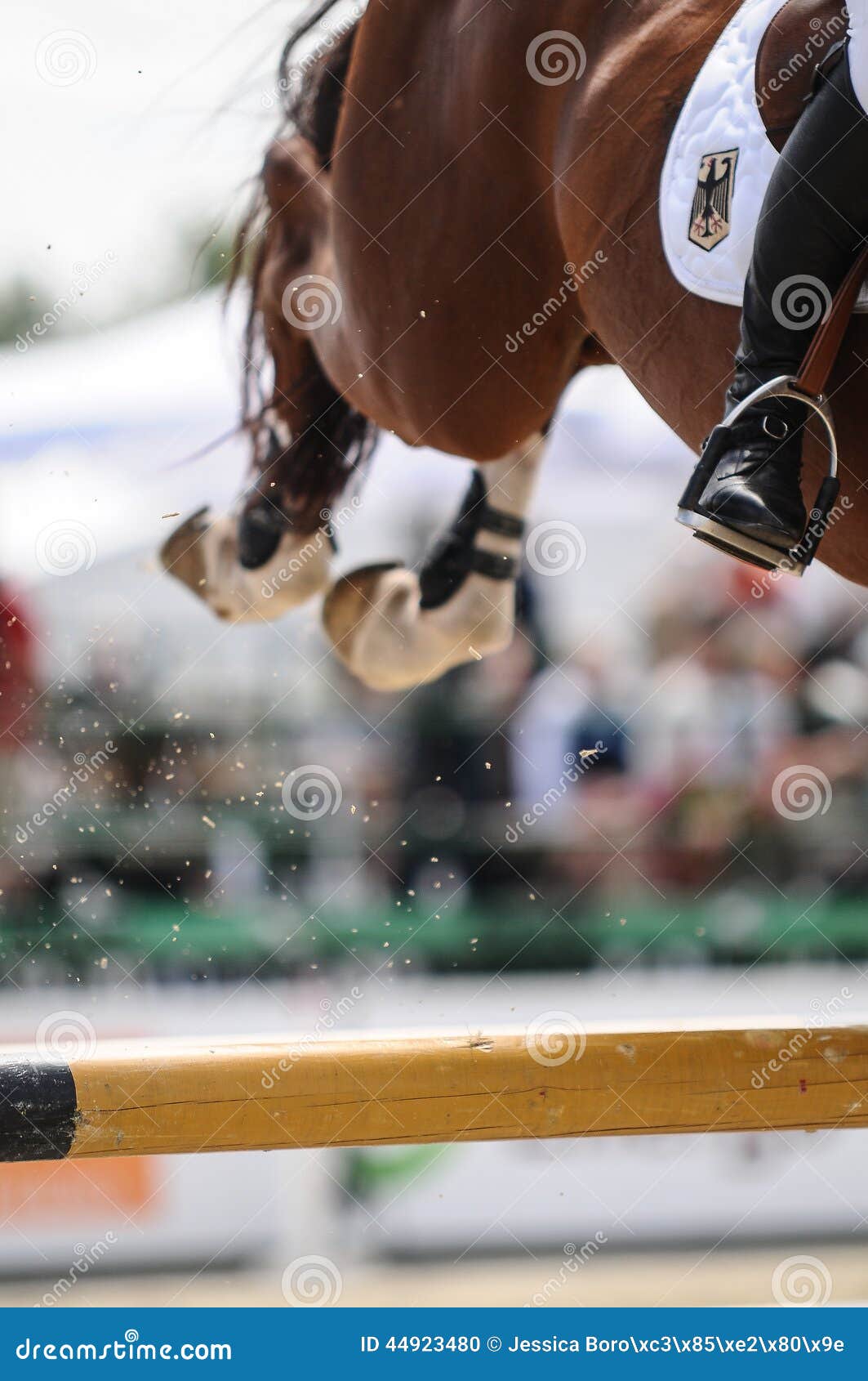 show jumping