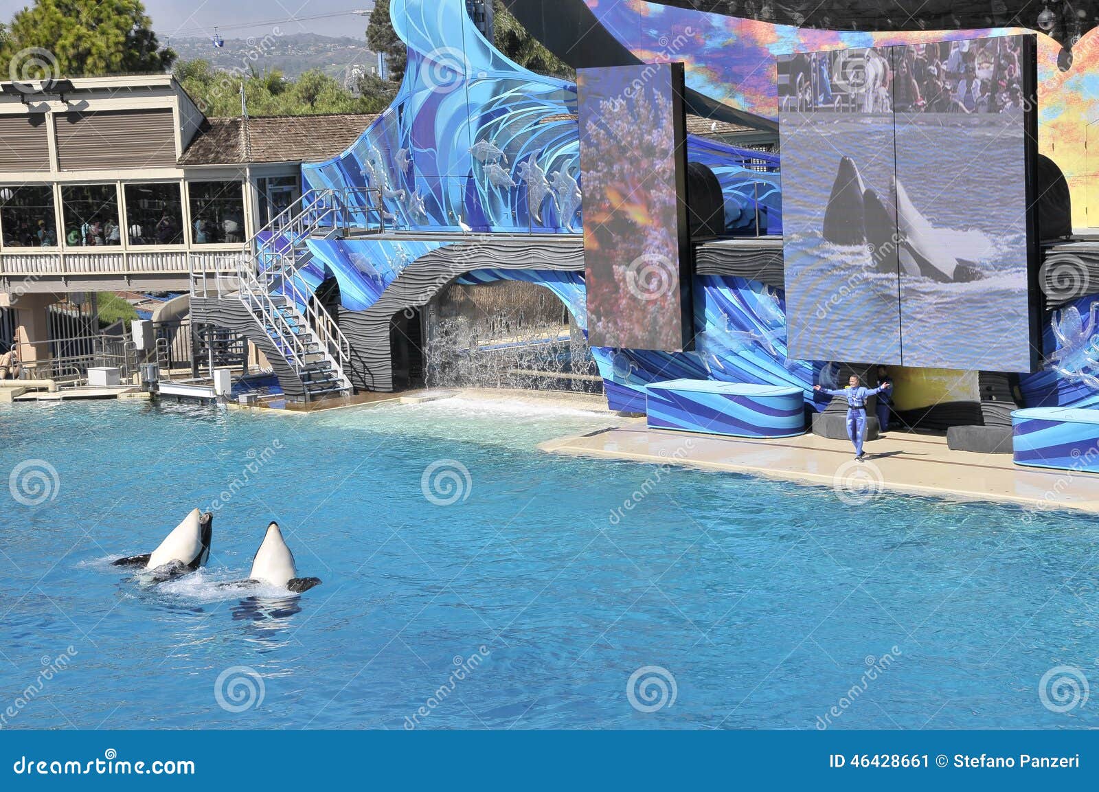 Show at Seaworld, San Diego Editorial Photo - Image of california, kids ...