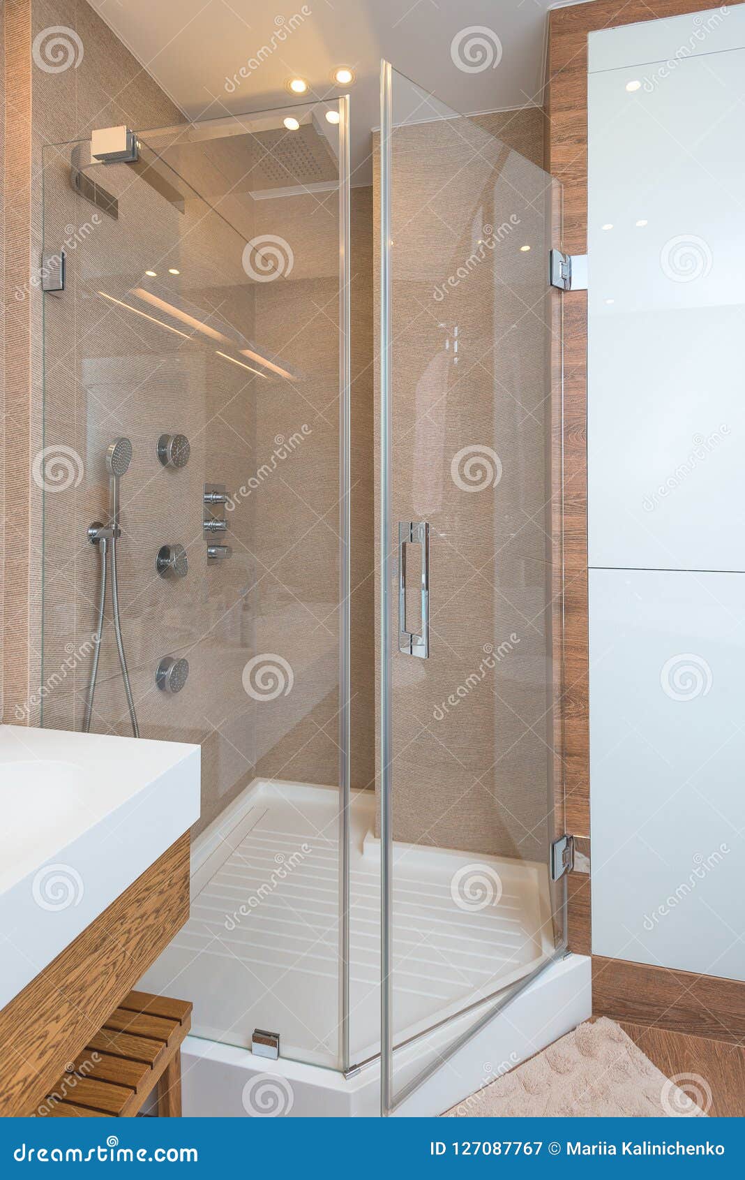 Shower In Apartment In Modern Style Interior Design Theme