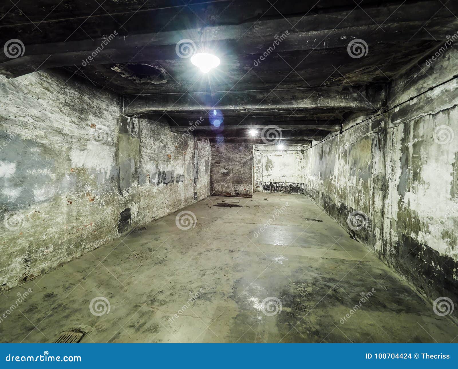 AUSCHWITZ, POLAND - SEPTEMBER 2, 2017. Shower Gas Room Inside the Crematory  of Auschwitz Concentration Camp, Auschwitz, Poland Editorial Stock Image -  Image of death, camp: 100704424