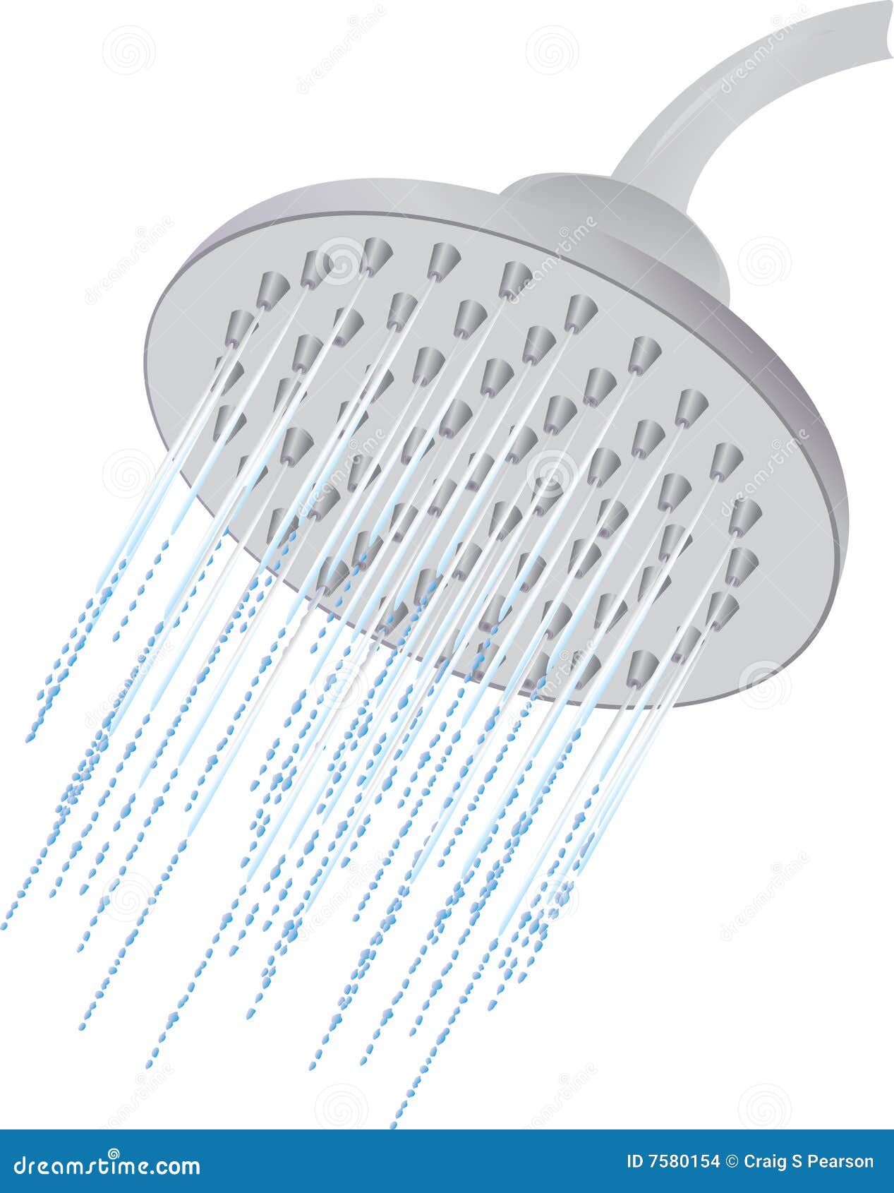 shower head