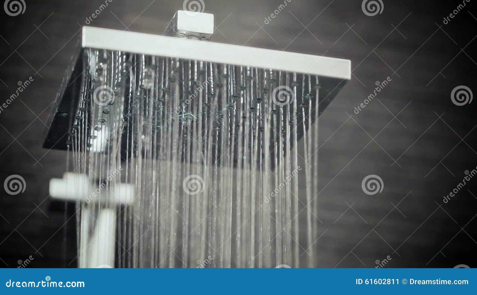 Shower Head in Bathroom Dripping Stock Video Video of indoors, bath