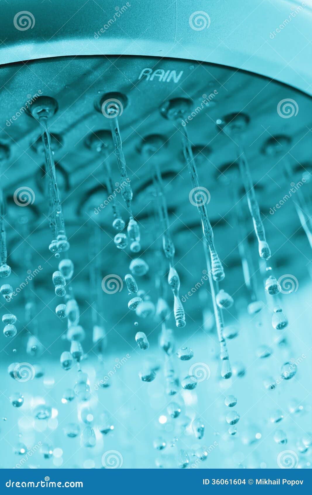 Shower head stock photo. Image of falling, bathroom, aqua 36061604