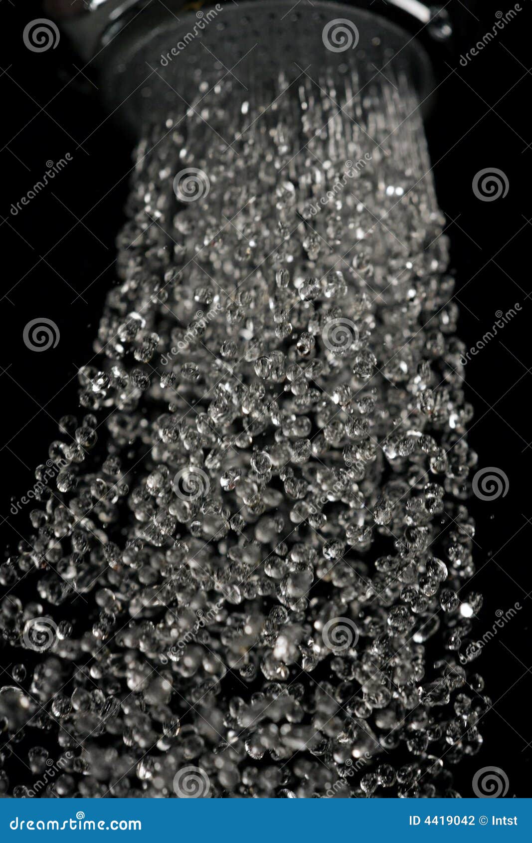Shower head spraying water stock photo. Image of fluid 4419042