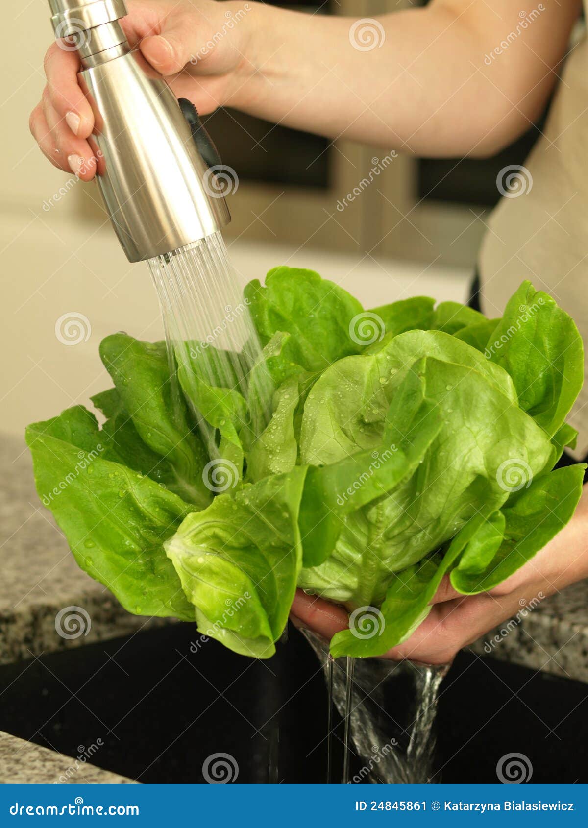 Shower of lettuce stock image. Image of housewife, ingredient 24845861