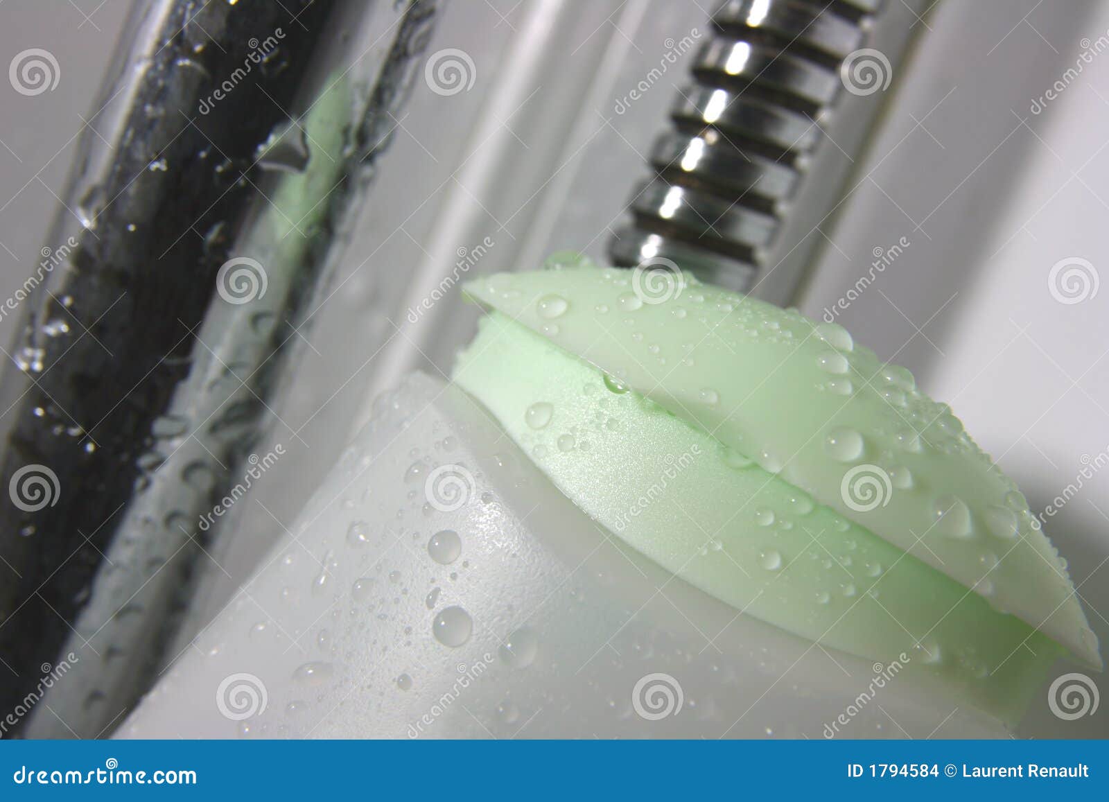 Shower time stock photo. Image of domestic, cleaning, relaxation 1794584