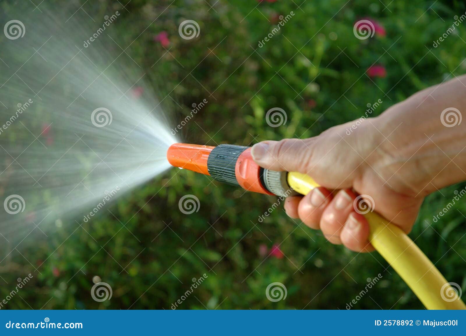 Showering hose stock photo. Image of outside, hand, close 2578892