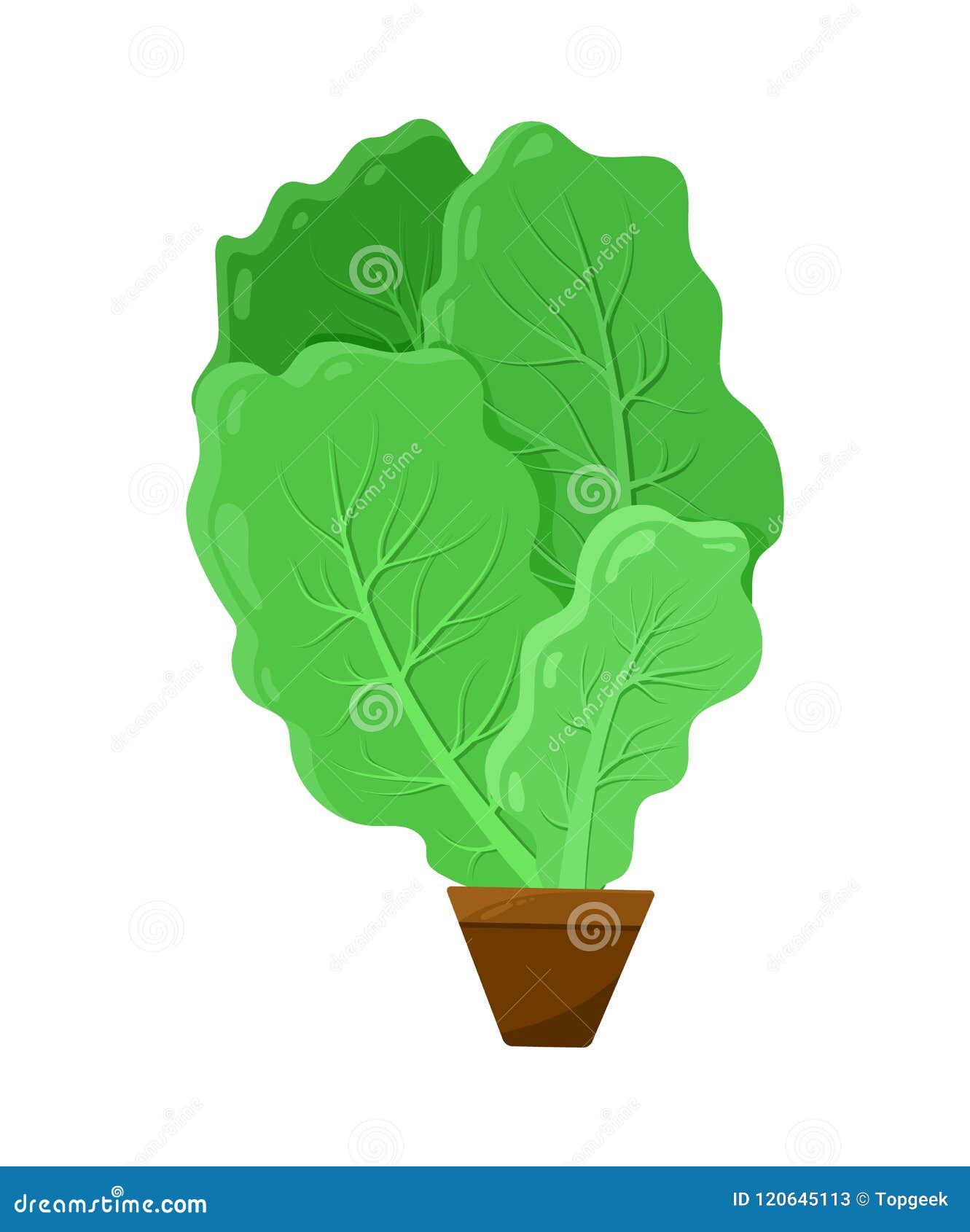 shpinat leaves potted into small brown container