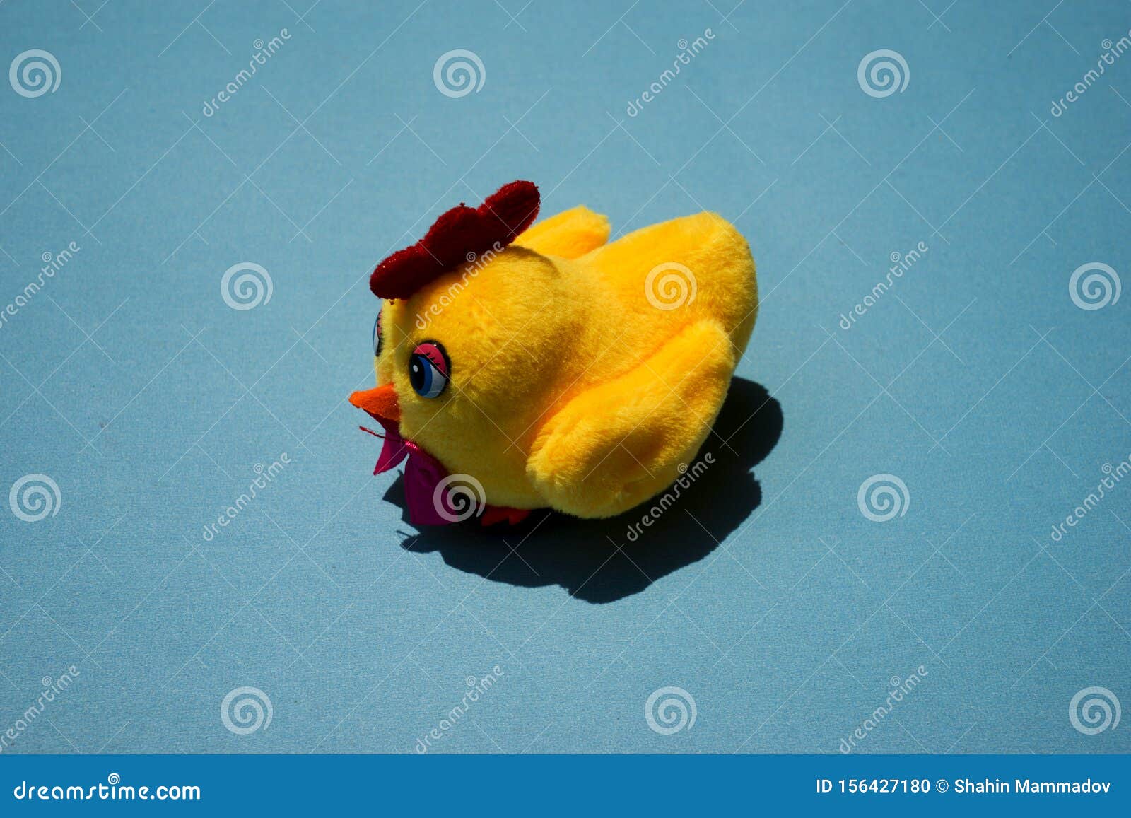 shrilling chicken squeaky toy . toy rubber shriek yellow chicken  on blue background.