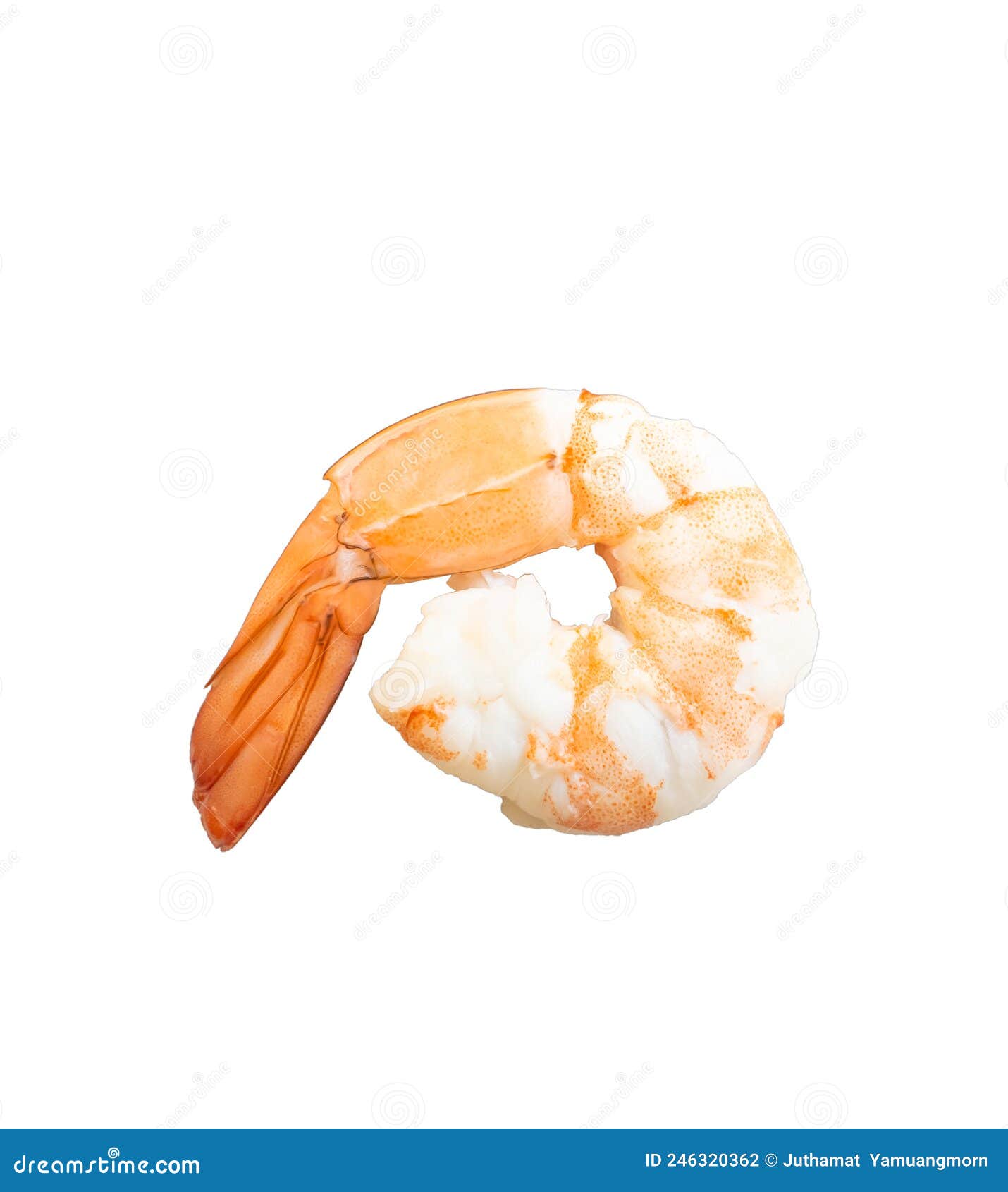 Shrimp of Boiled Prawn Seafood Isolated White Background Stock Photo