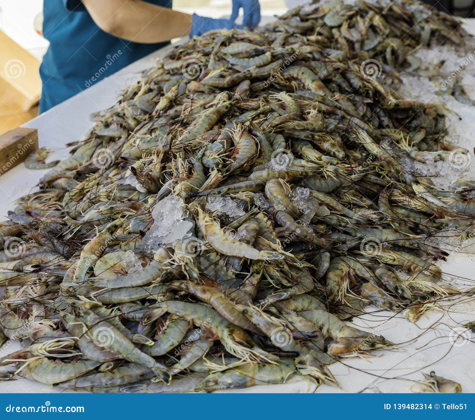 Shrimp catch stock photo. Image of offloaded, food, pile - 139482314