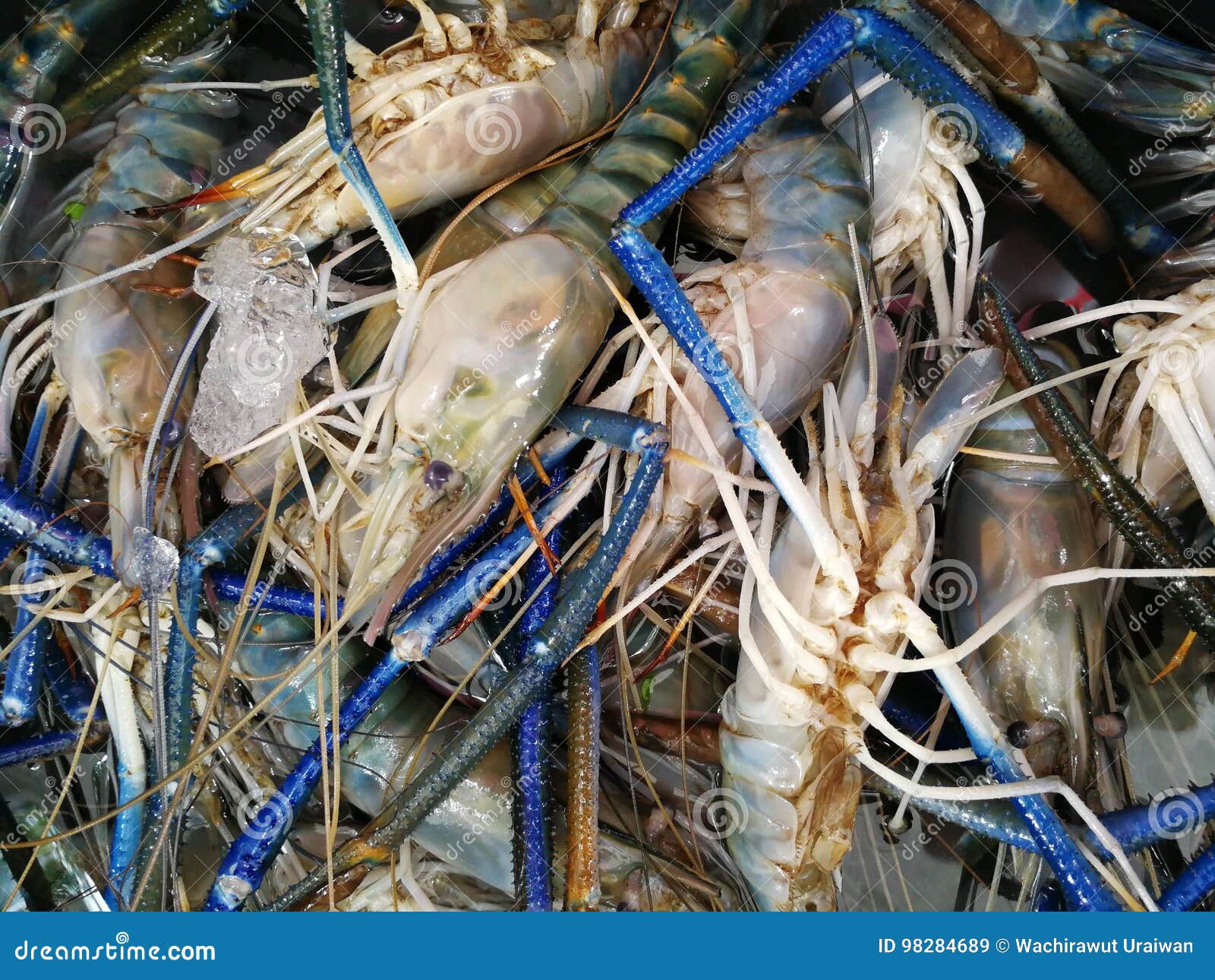 Shrimp editorial stock image. Image of food, commercial - 98284689 Shrimp editorial stock image. Image of food, commercial - 98284689