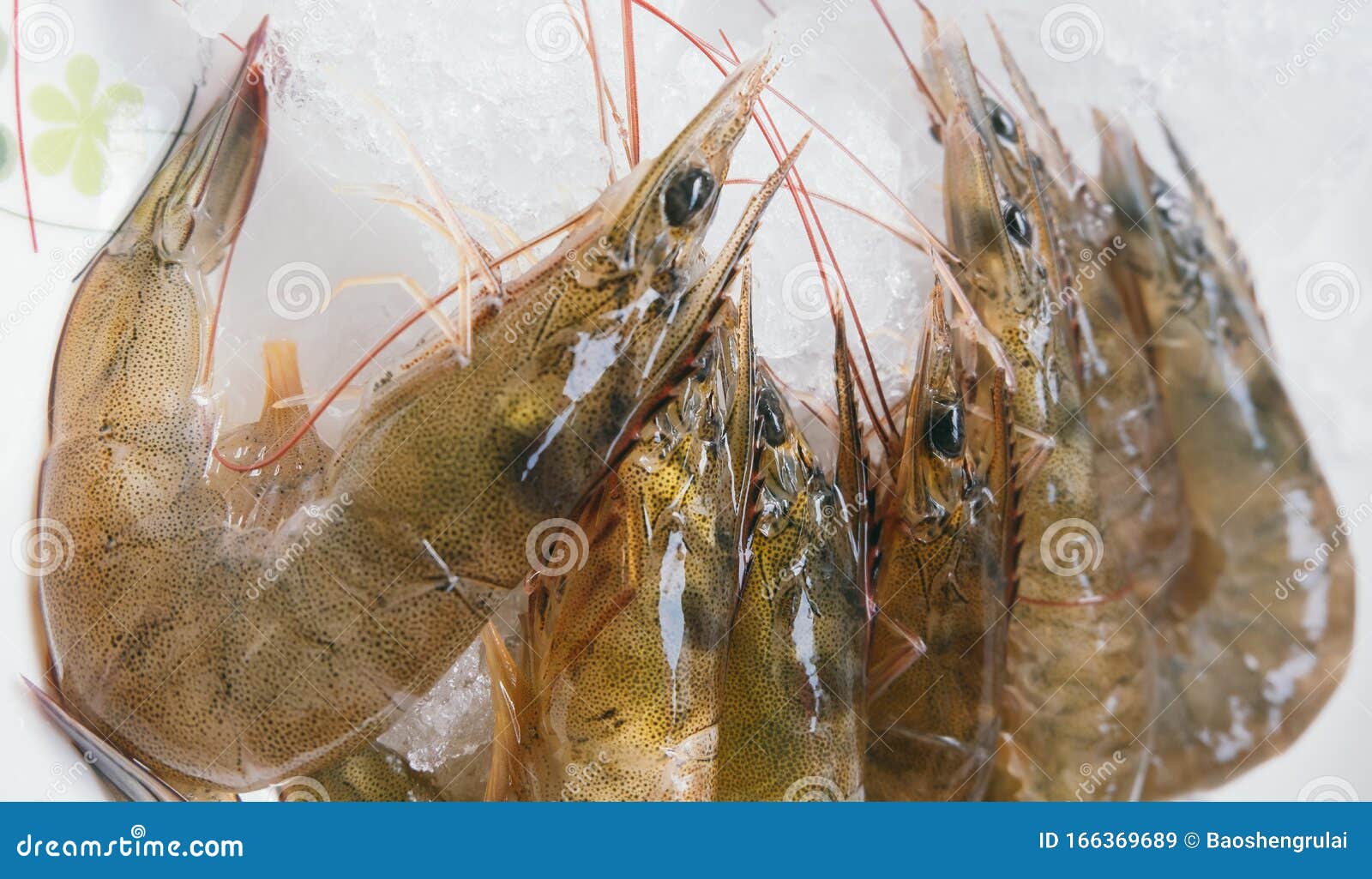 shrimp has a high nutritional value