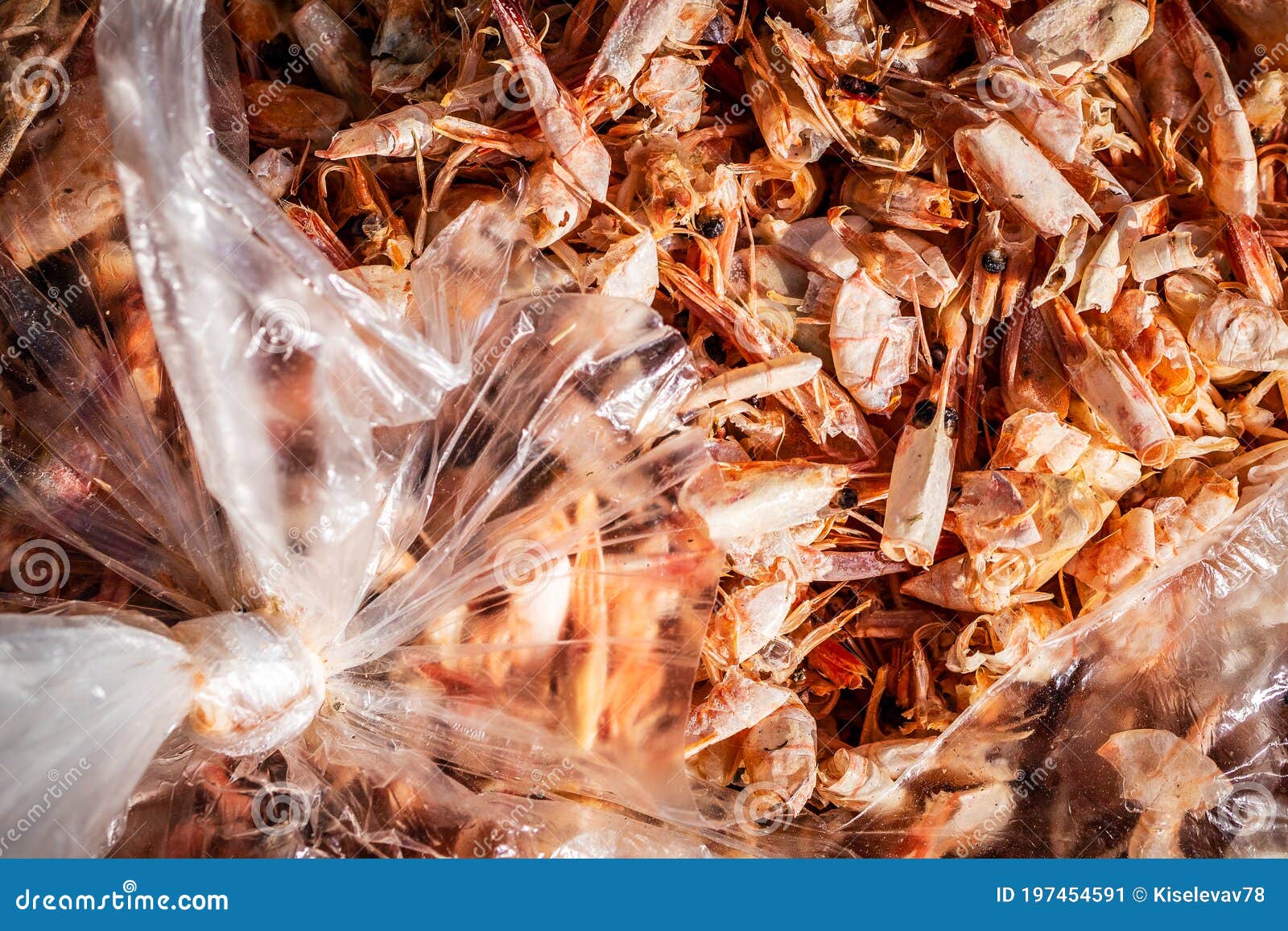 158 Shrimp Garbage Stock Photos - Free & Royalty-Free Stock Photos from  Dreamstime