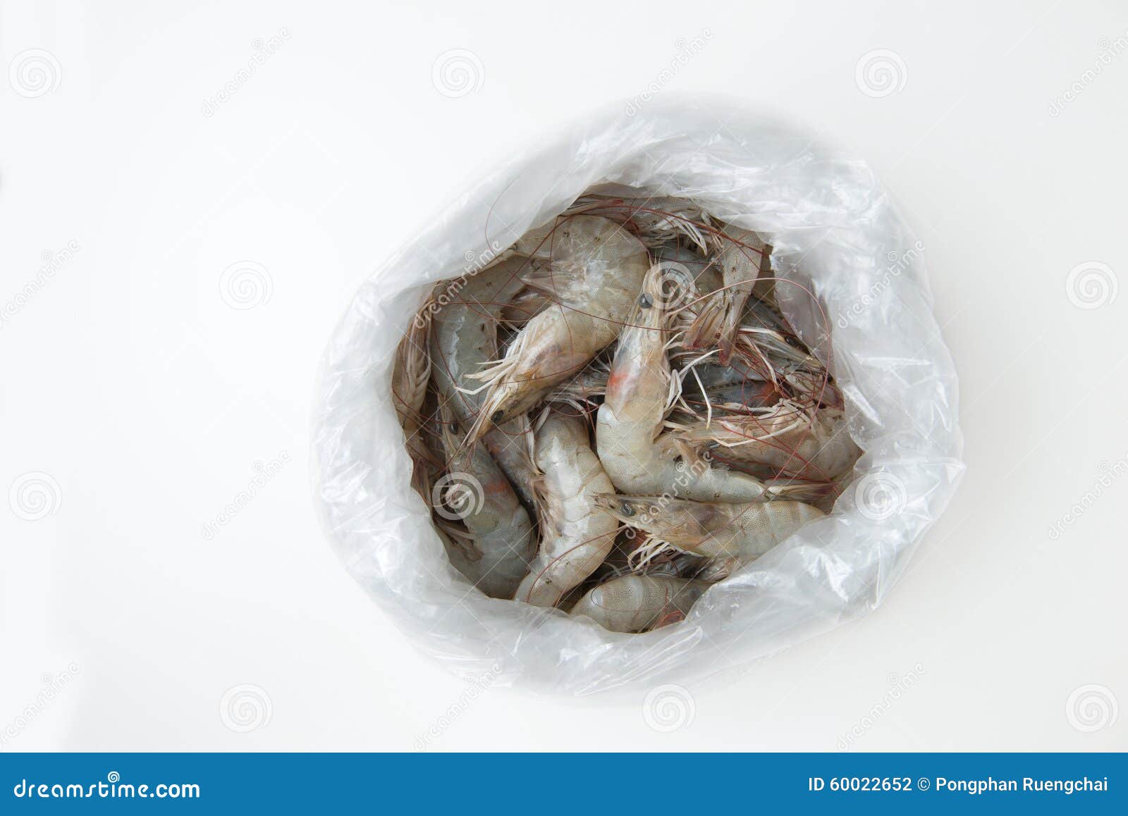 Download 108 Shrimp Plastic Bag Photos Free Royalty Free Stock Photos From Dreamstime Yellowimages Mockups