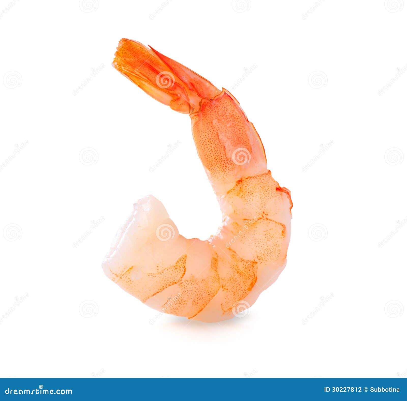 shrimp. prawn  on white