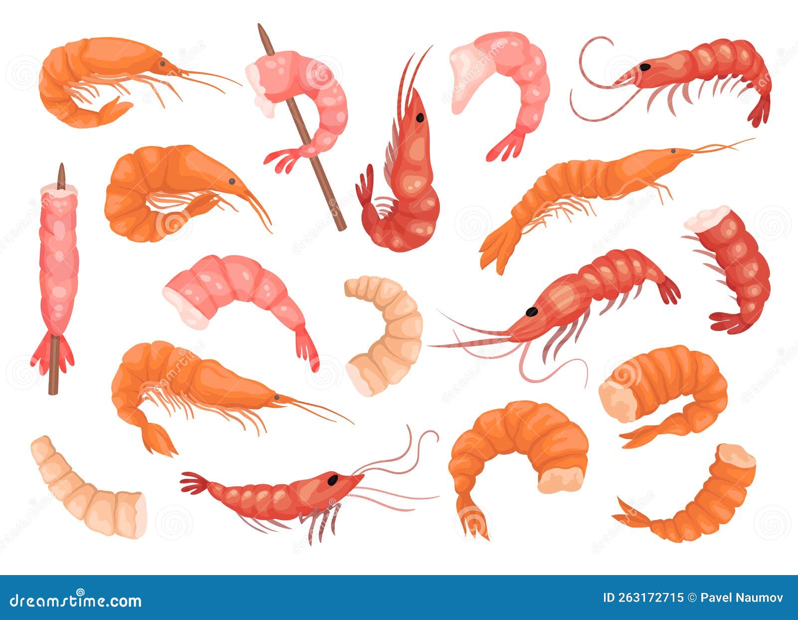Shrimp or Prawnas Delicious Cooked and Raw Seafood Big Vector Set Stock