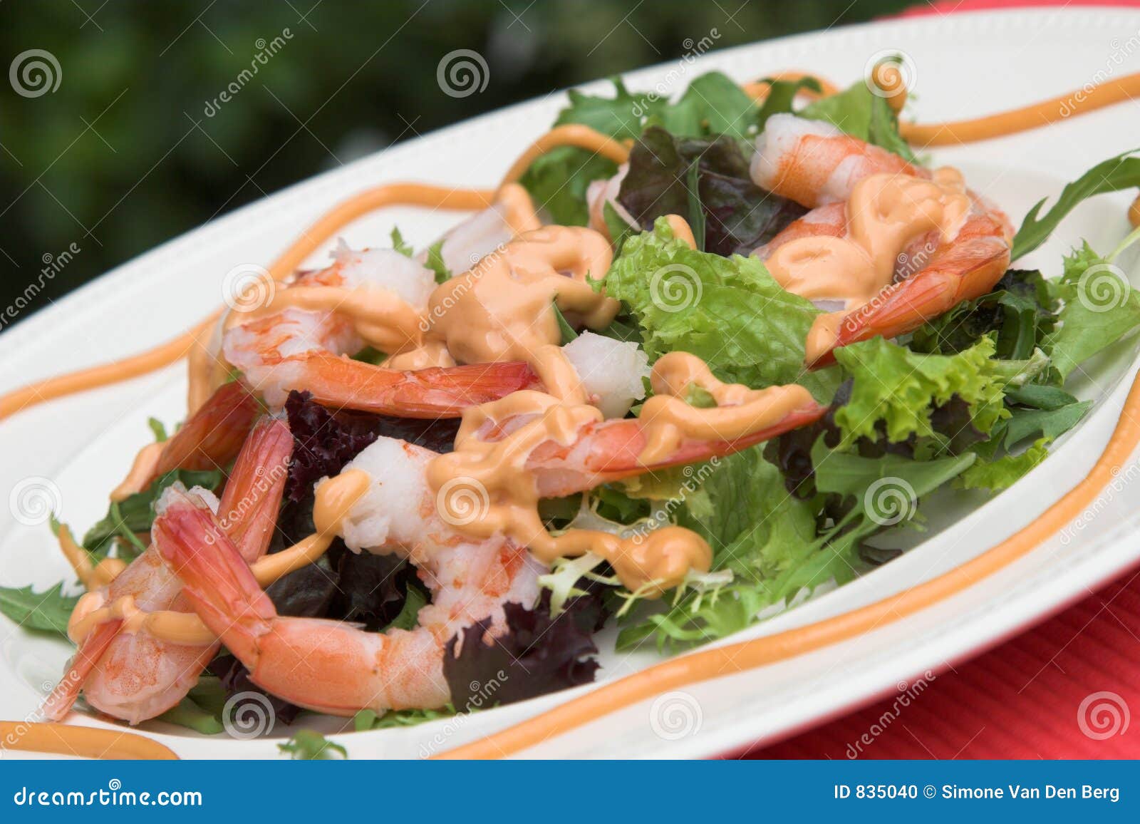 shrimp salad