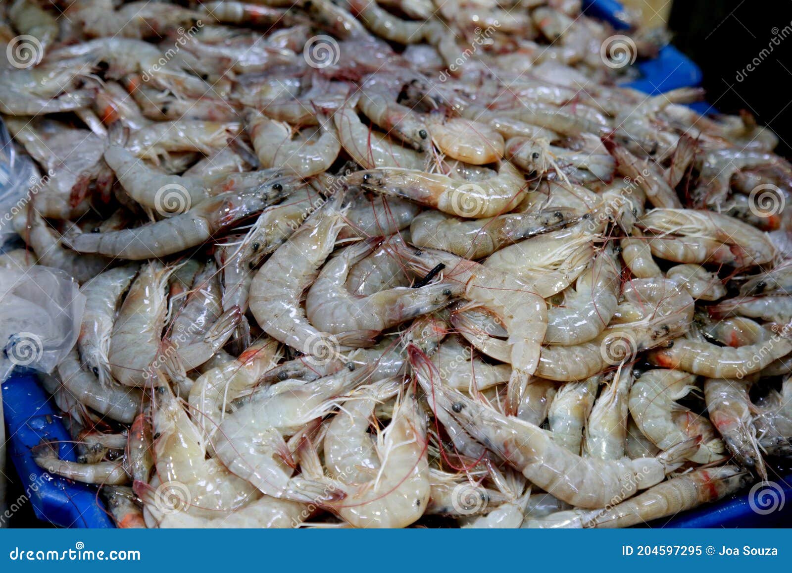 shrimp for sale in salvador market