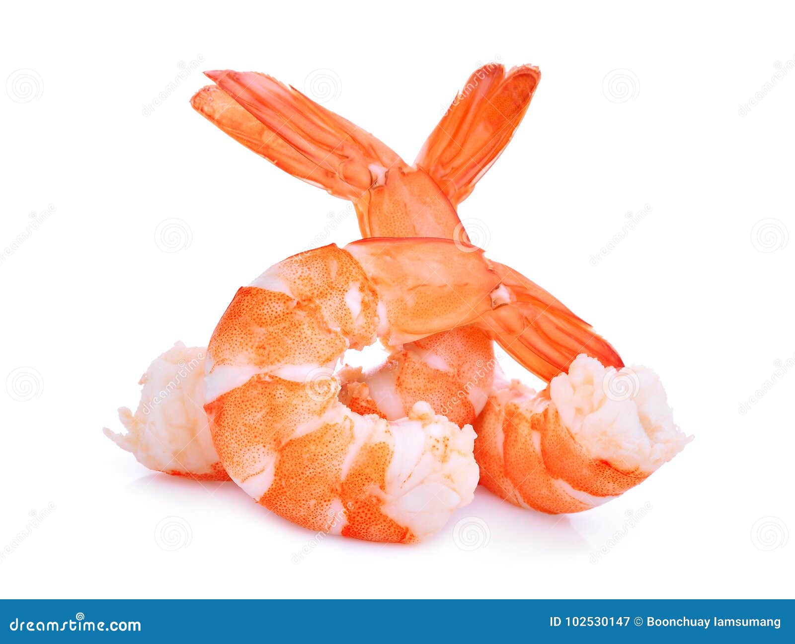 shrimps  on white