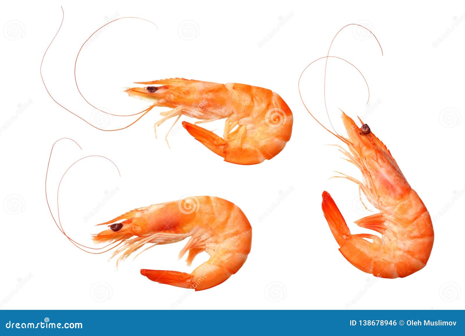 Shrimps Isolated on a White Background. Top View Stock Photo - Image of ...