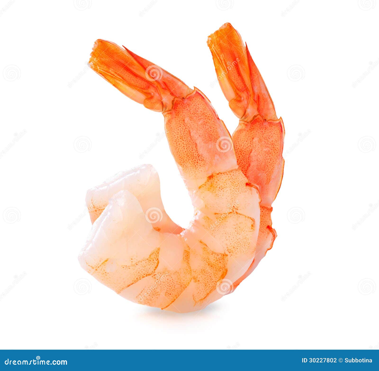 shrimps. prawns  on white
