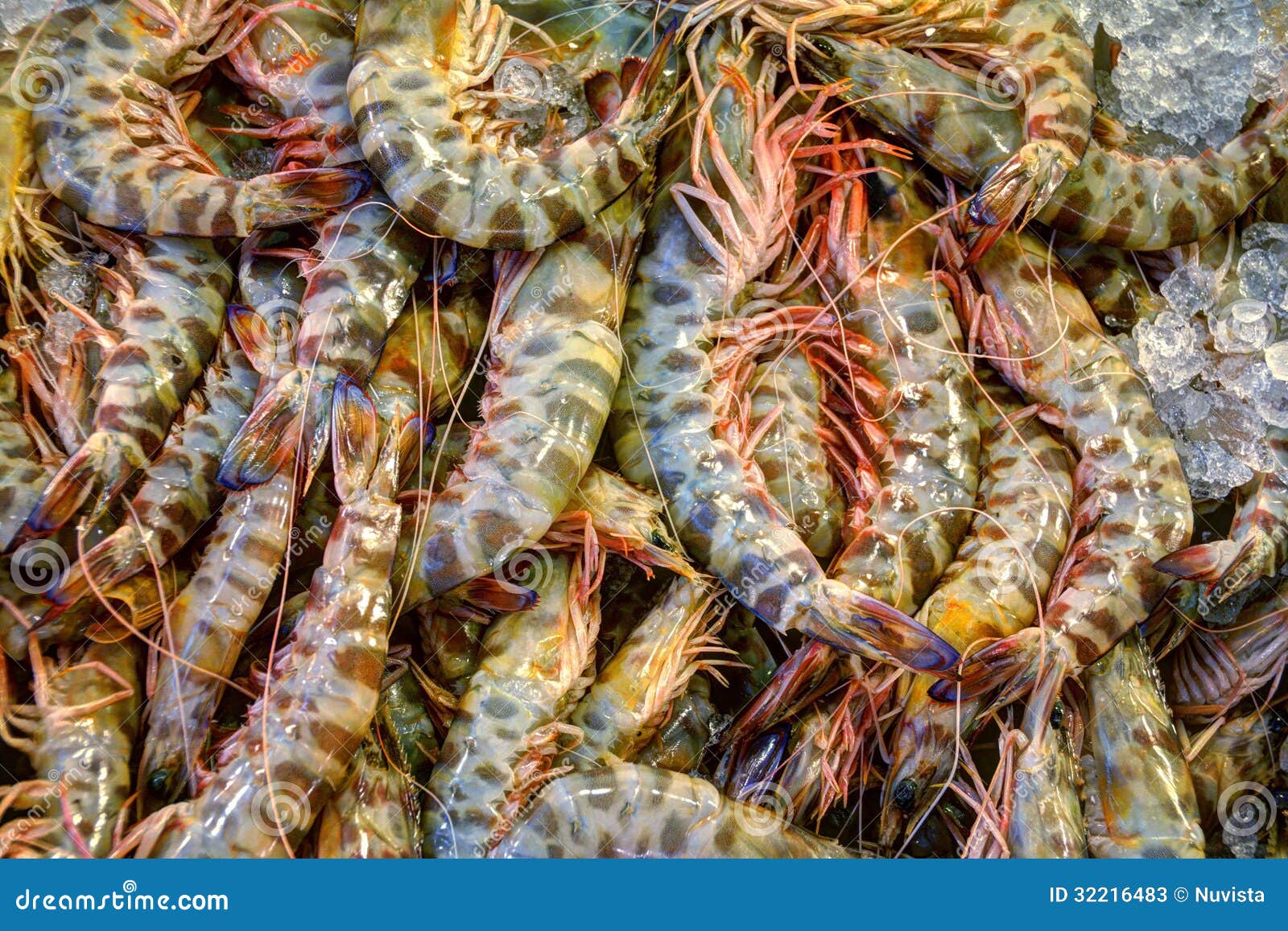 Shrimps stock image. Image of shrimp, iced, pawn, market 32216483