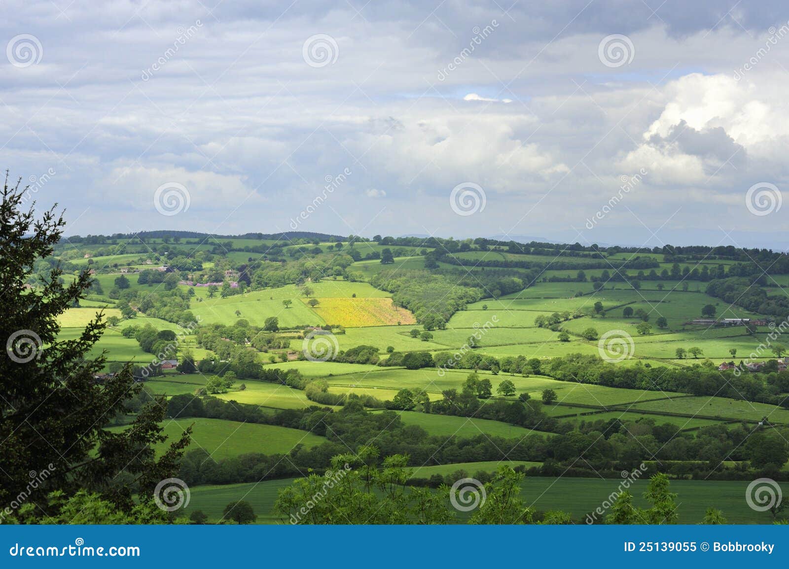 the shropshire countryside