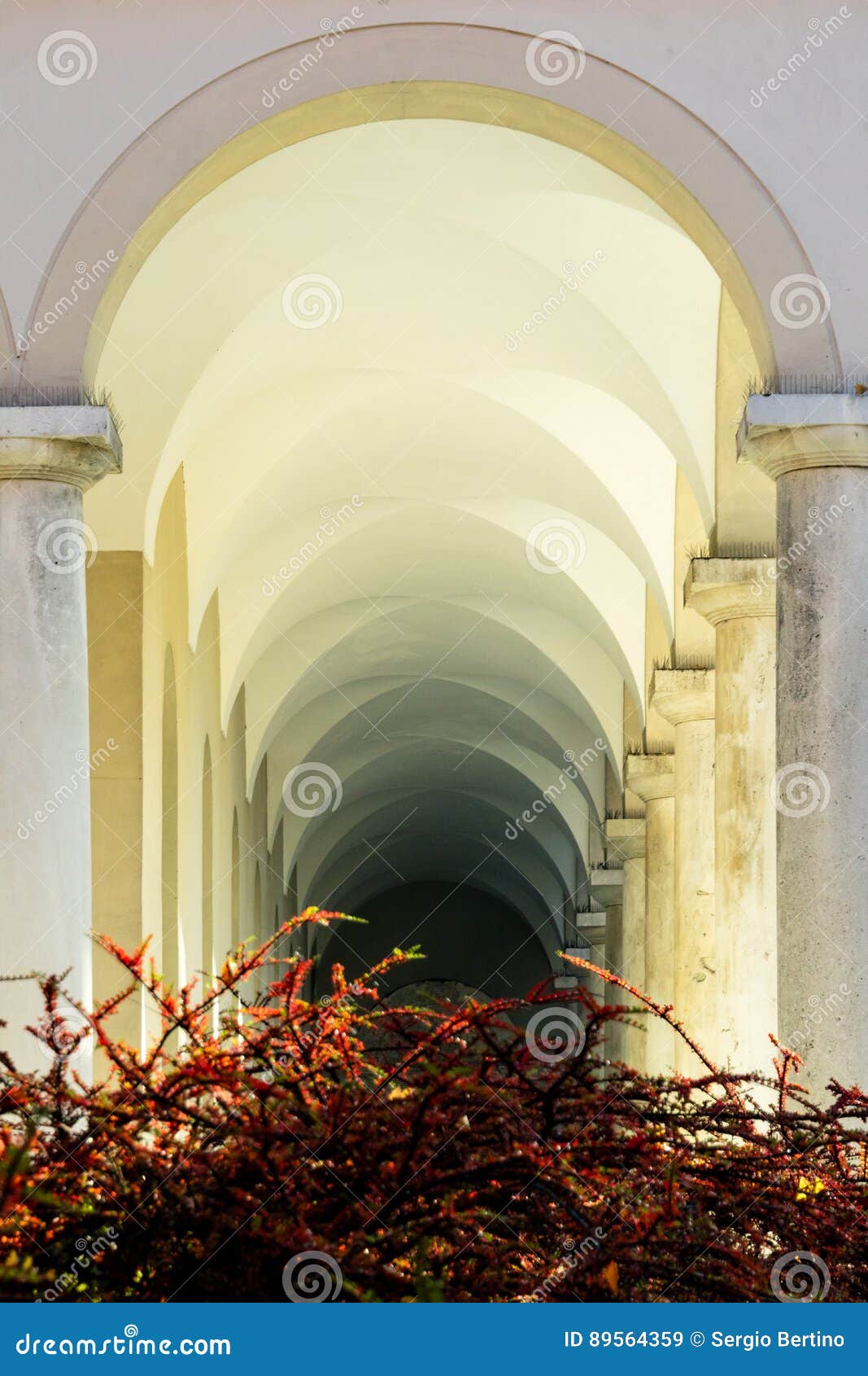 Shrubs In Front Of Arched Corridor Stock Image Image Of