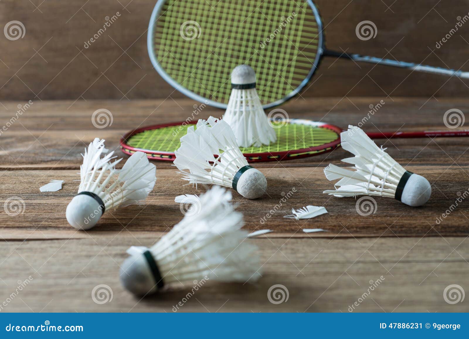 Shuttlecock with Parts of Its Feathers Scattered on Wooden. Stock Image