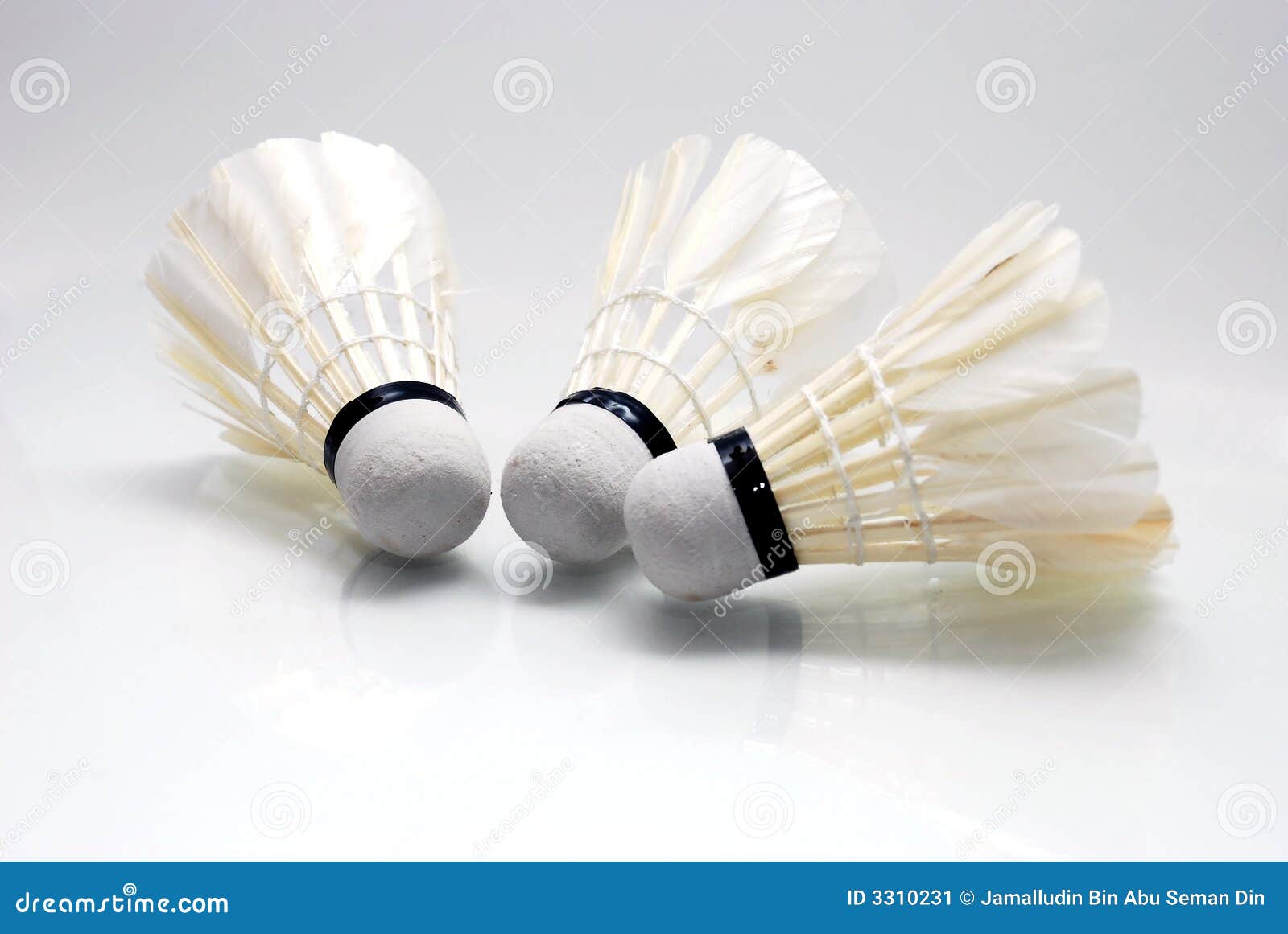 Shuttlecocks stock image. Image of game, competitions 3310231