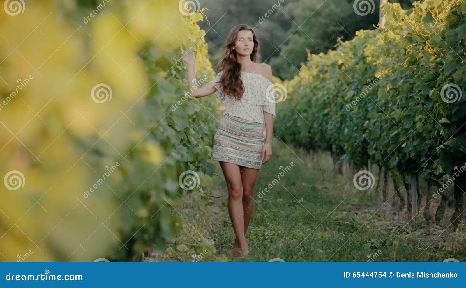 Shy Girl Goes Along the Grape Rows Stock Footage - Video of girl, hair:  65444754