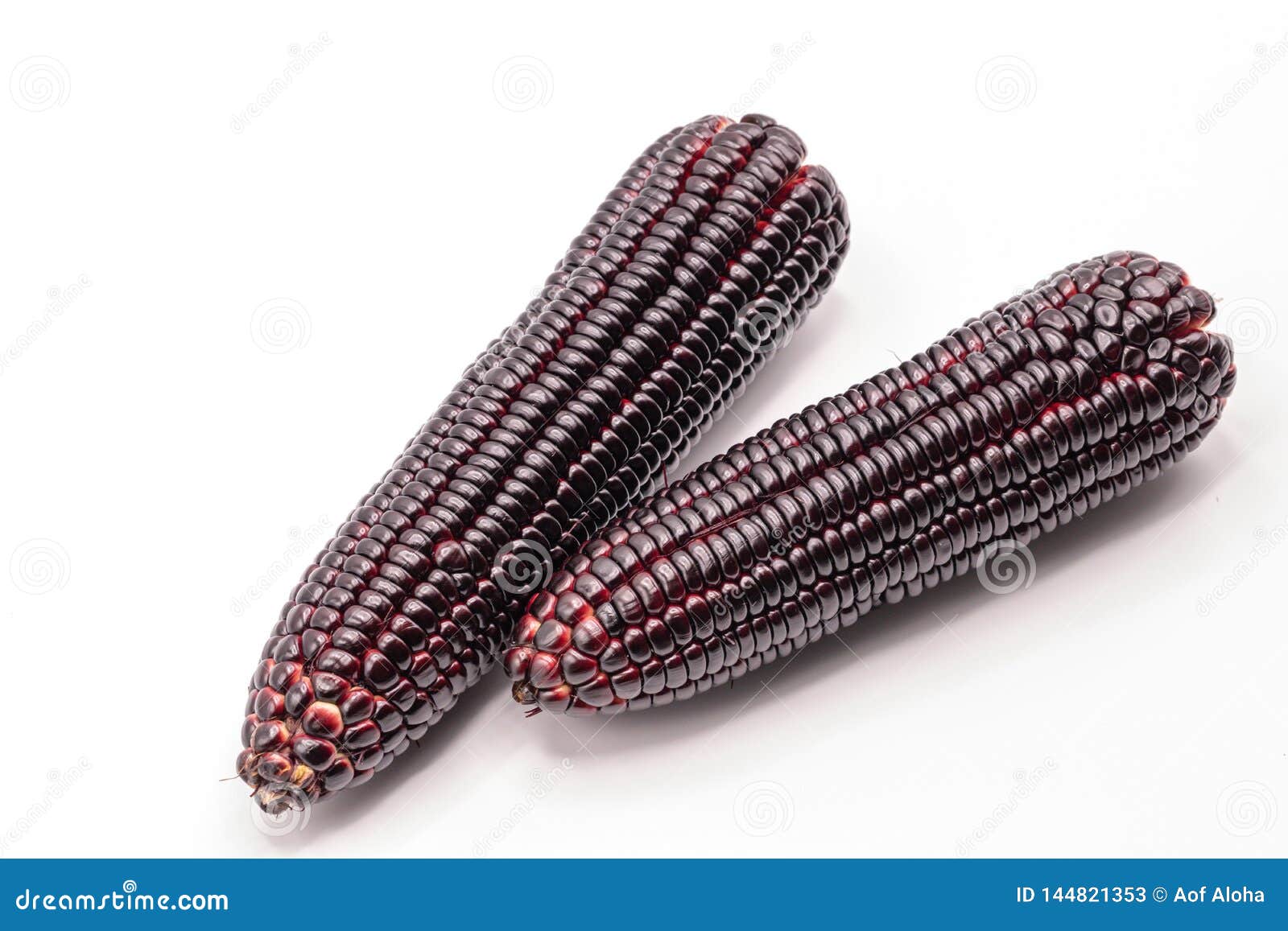 siam ruby queen corn on isolate white background.it can eat as a fresh,steam,grill,and microwave.sweet red corn of thailand.