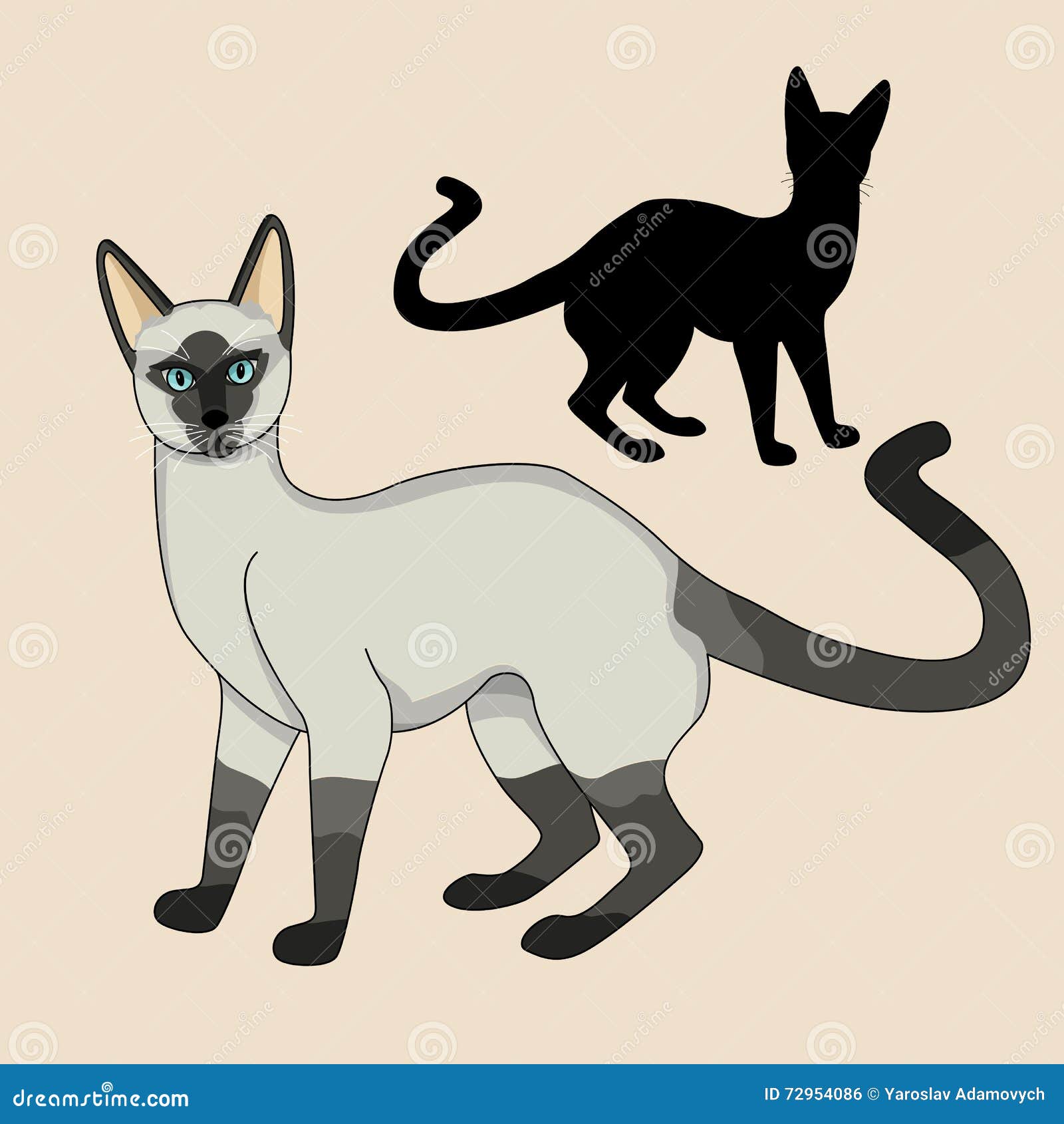 Siamese Cat Realistic Black Silhouette Set Stock Vector Illustration Of Adorable Black 72954086