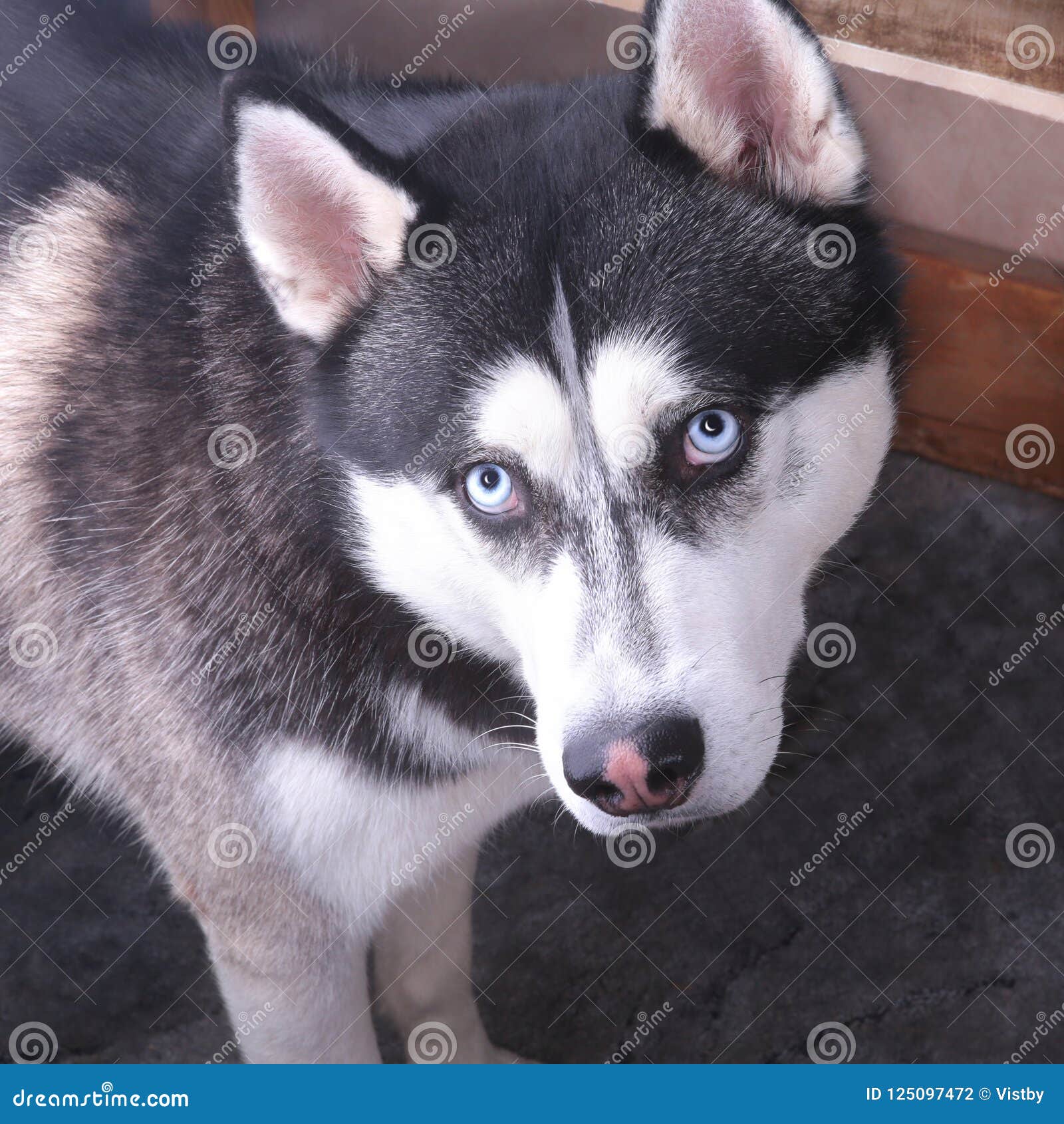 My Image 15