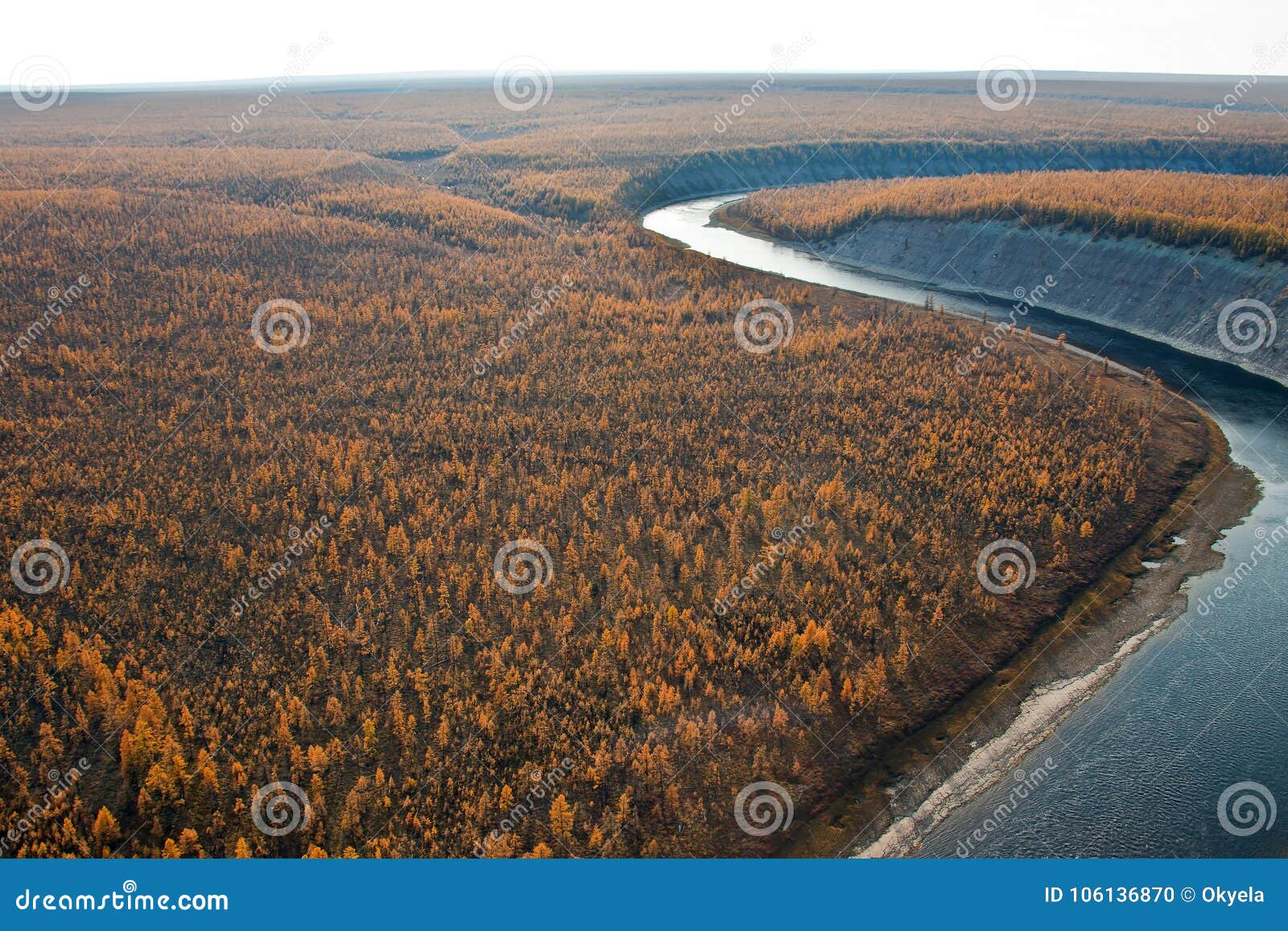 Siberian Larch Taiga And The River Fall From A Helicopter Stock Photo