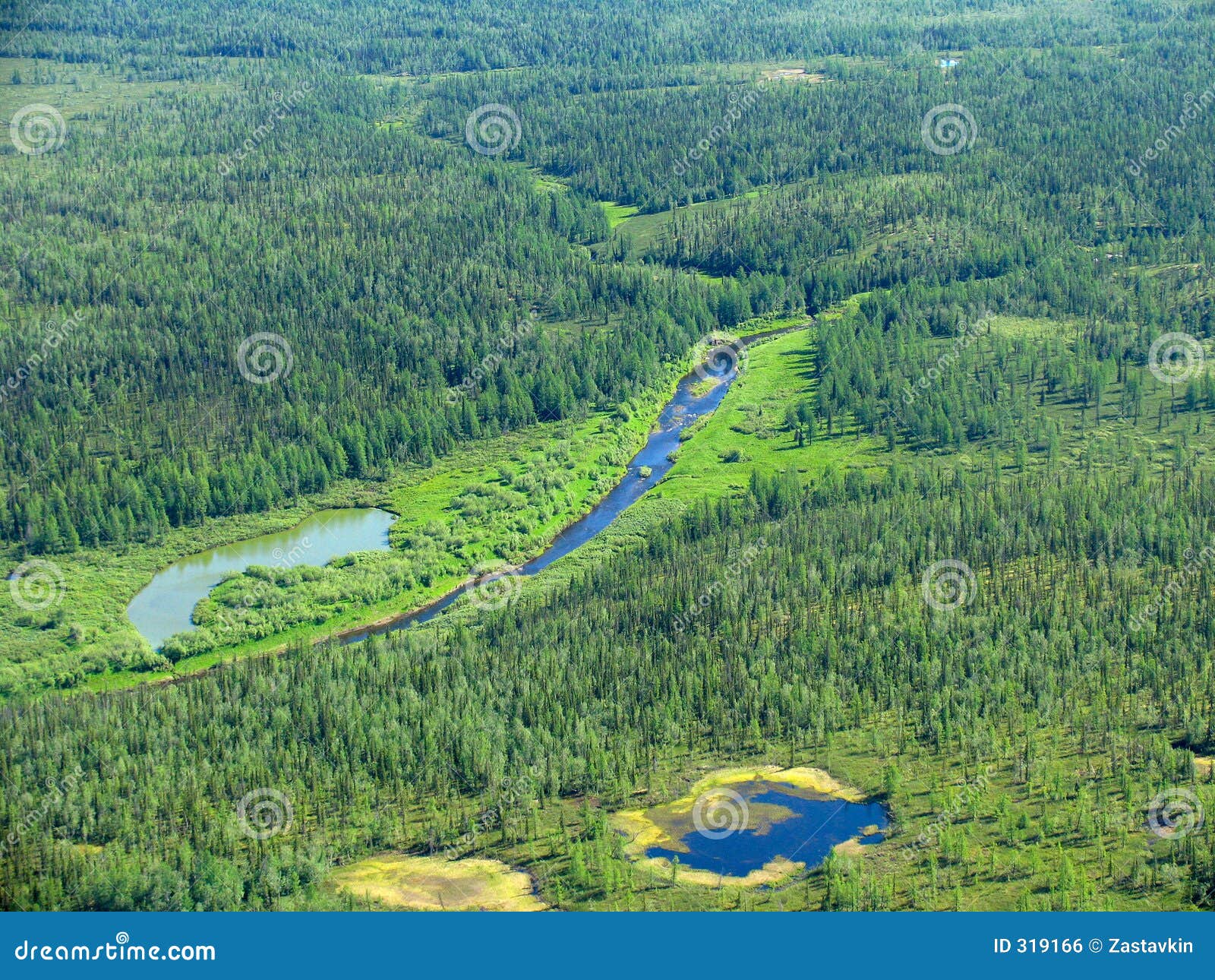 siberian taiga - aerial view