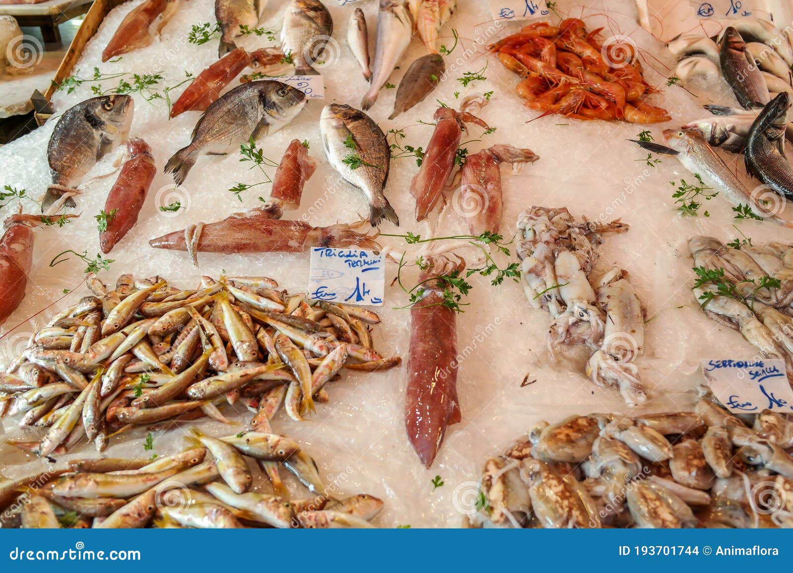 Sicilian Fish Market Palermo Italy Stock Photo Image of sicilia