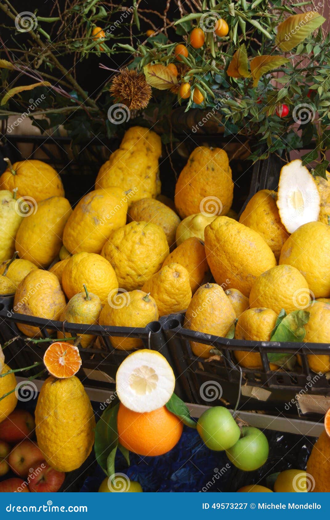 Sicilian Lemons